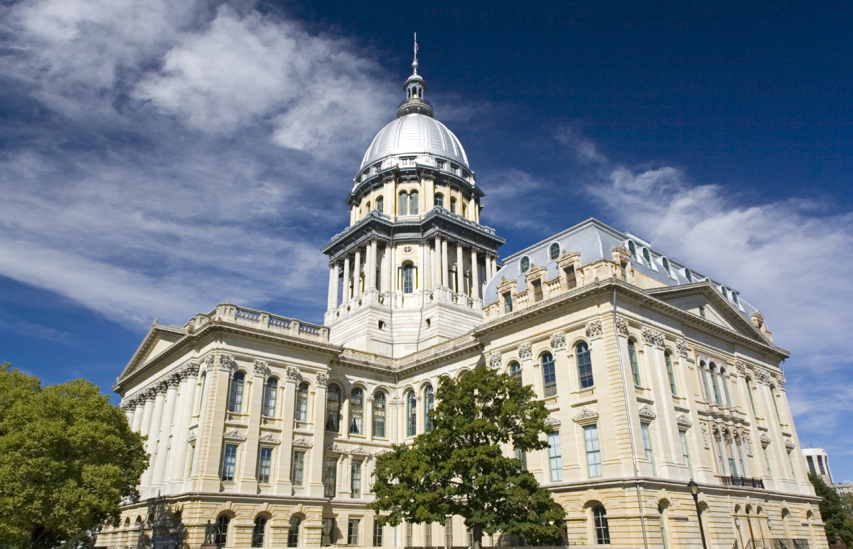 Illinois state legislature 